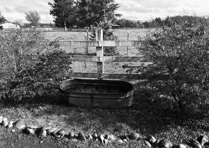 2018-10-27_11-04-21_894