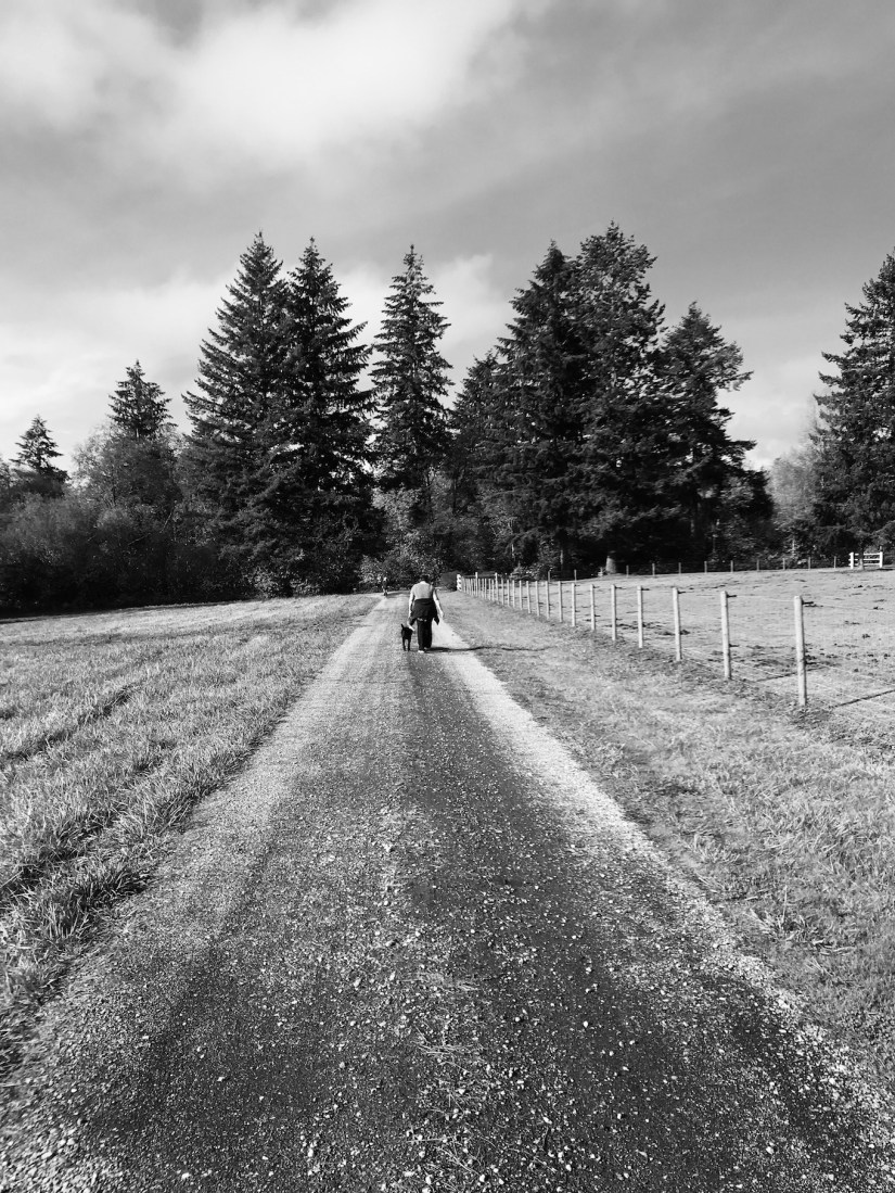 2018-10-27_11-07-24_643