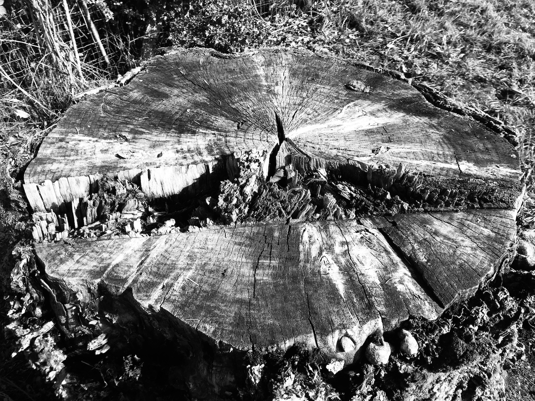 2018-10-27_11-10-32_846