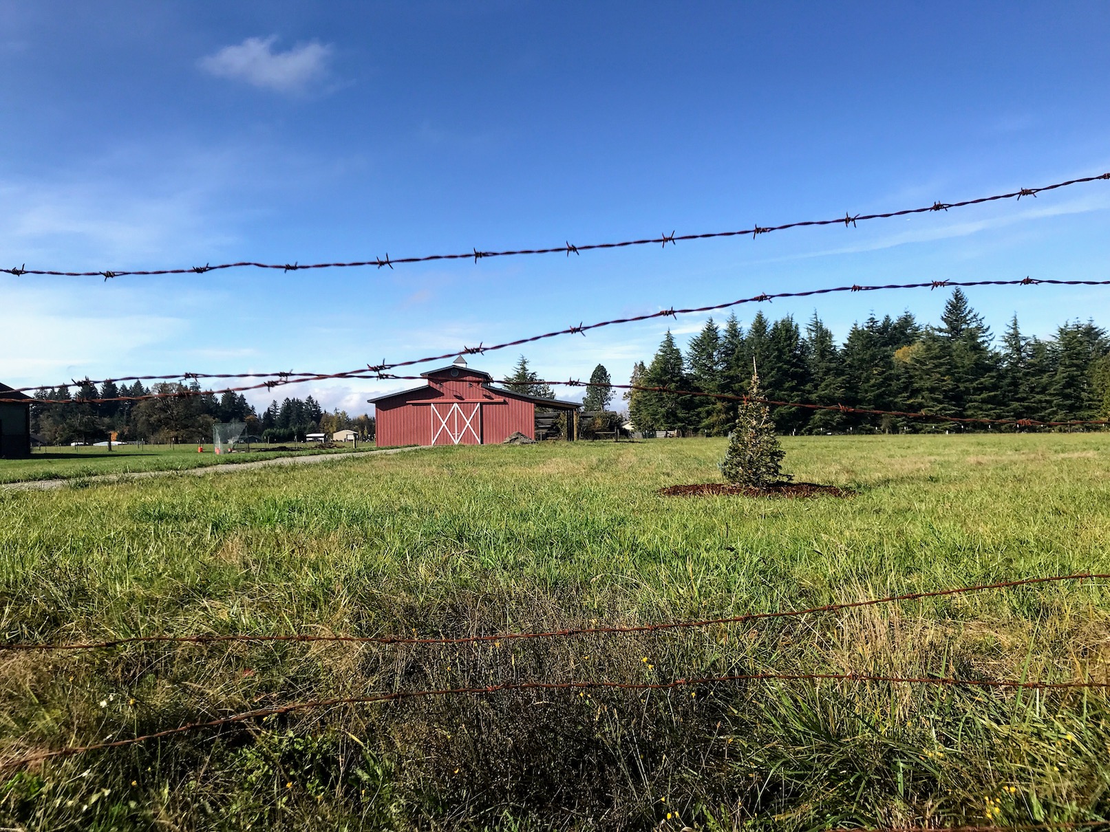 2018-10-27_11-29-24_043