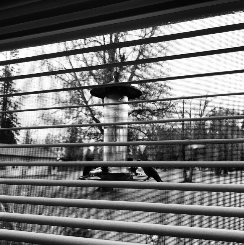 2018-10-28_09-21-38_988