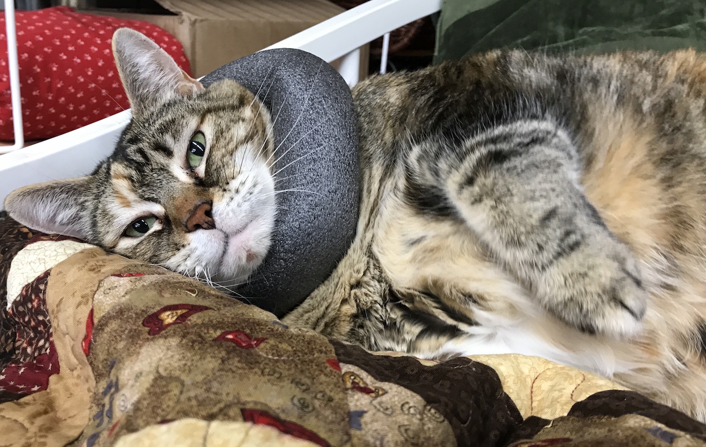 2018-10-28_11-20-05_330