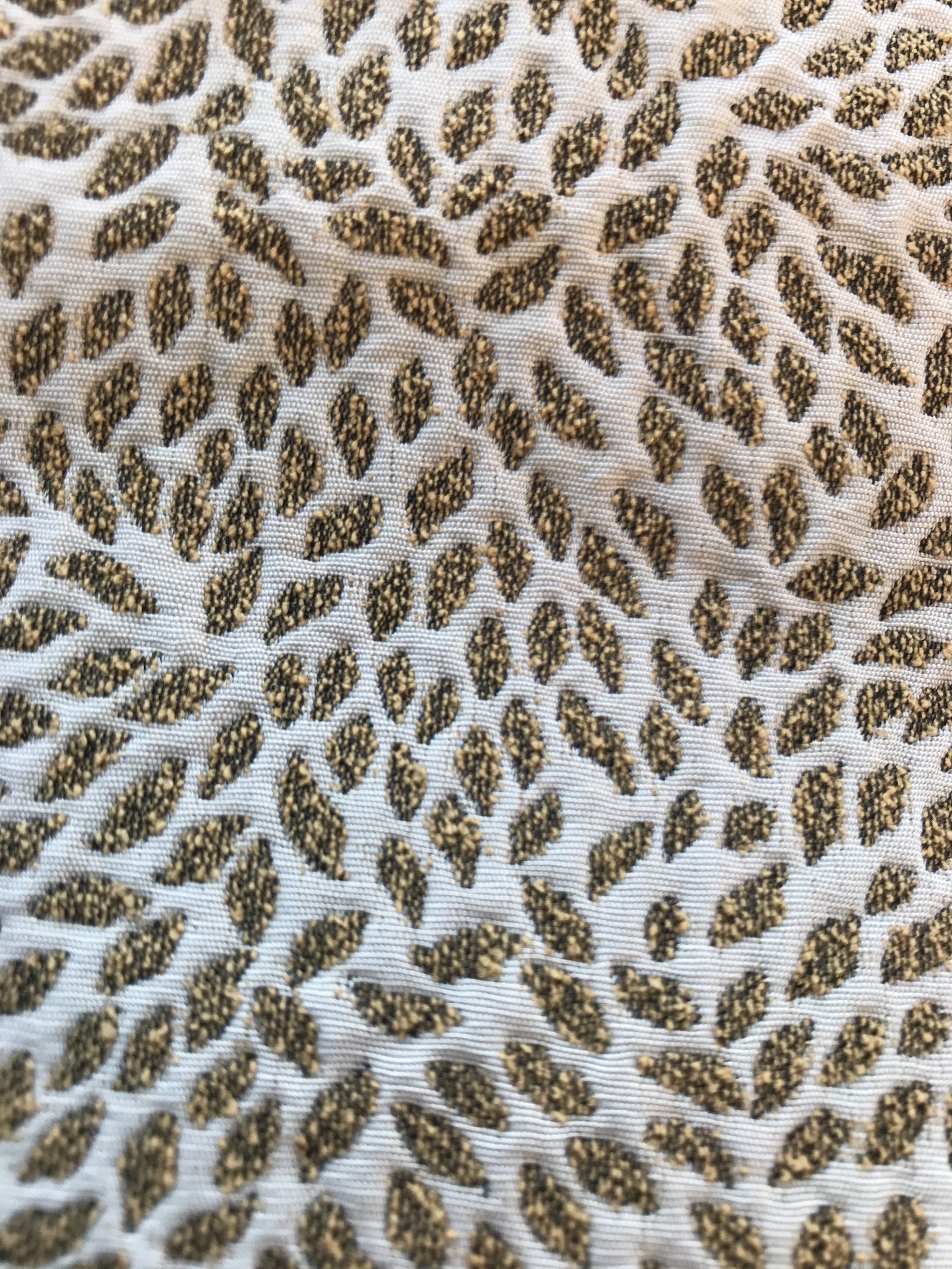 2018-11-10_14-02-49_719