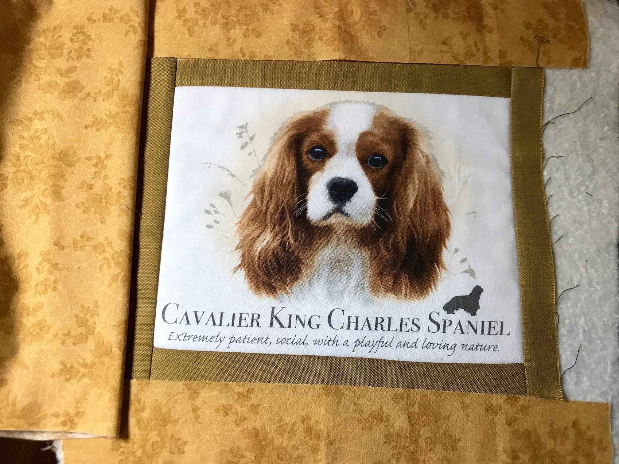 2019-02-20_17-34-30_510