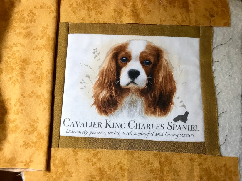 2019-02-20_17-34-30_510