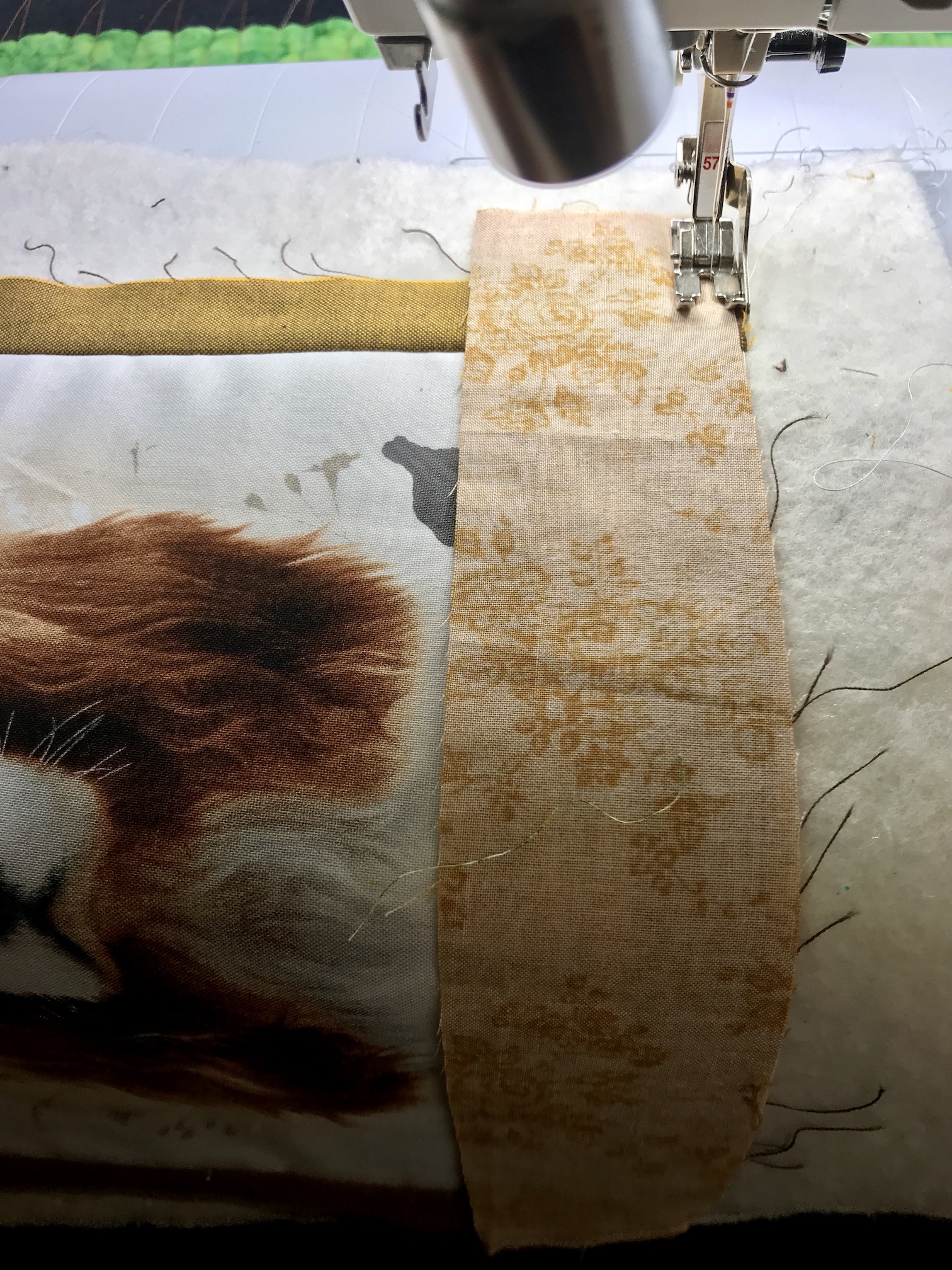 2019-02-22_09-56-39_945