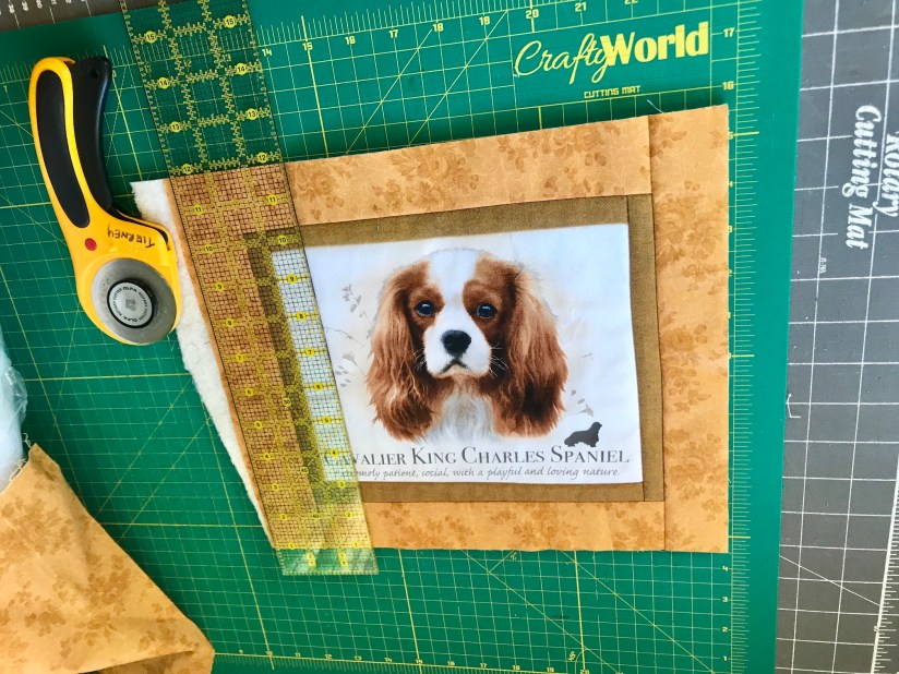 2019-02-22_10-02-43_863