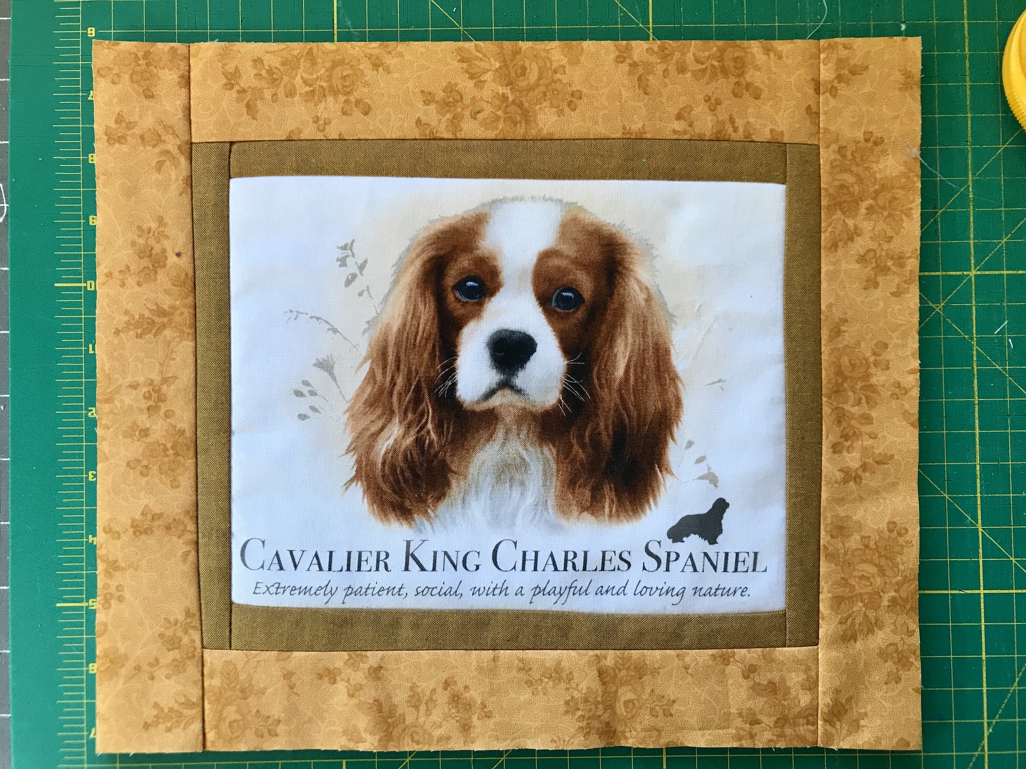 2019-02-22_10-03-19_055