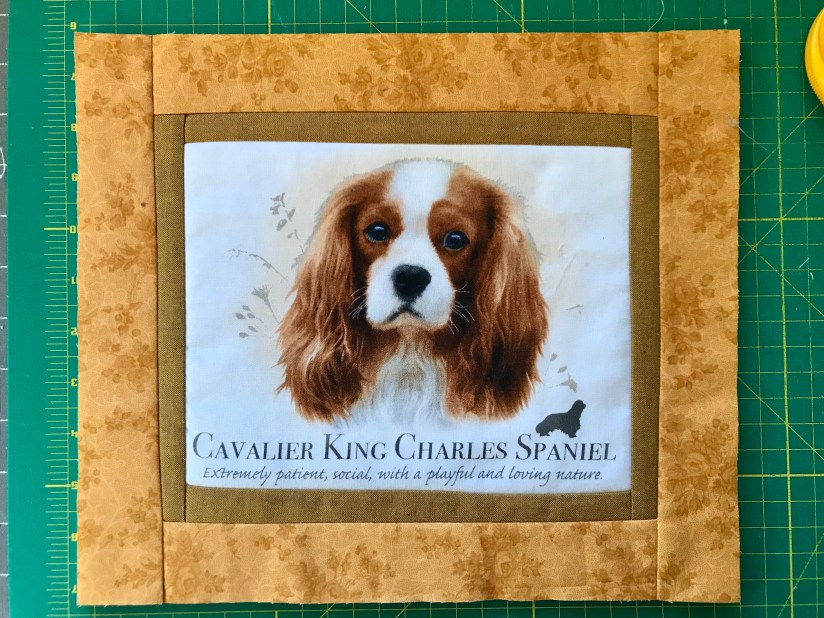 2019-02-22_10-03-19_055