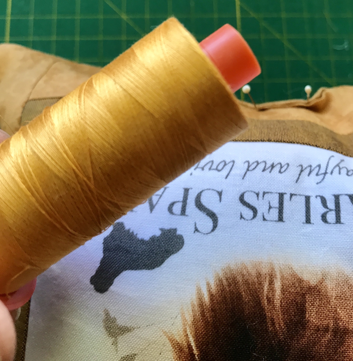 2019-02-22_10-26-00_468