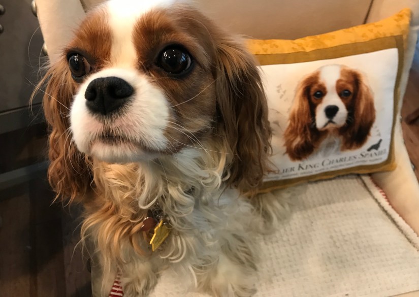 2019-02-23_10-52-00_835