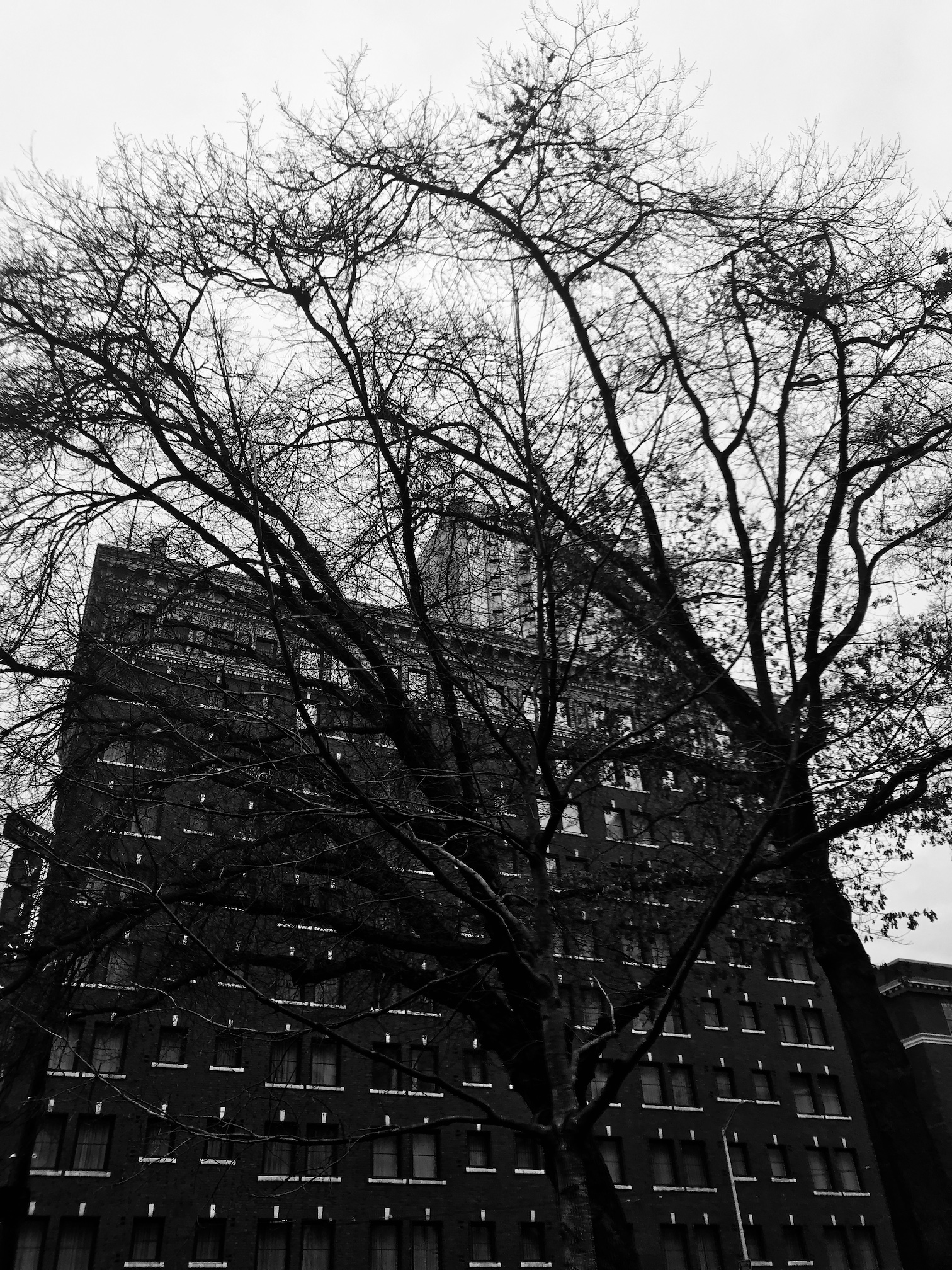 2019-03-11_12-10-38_311