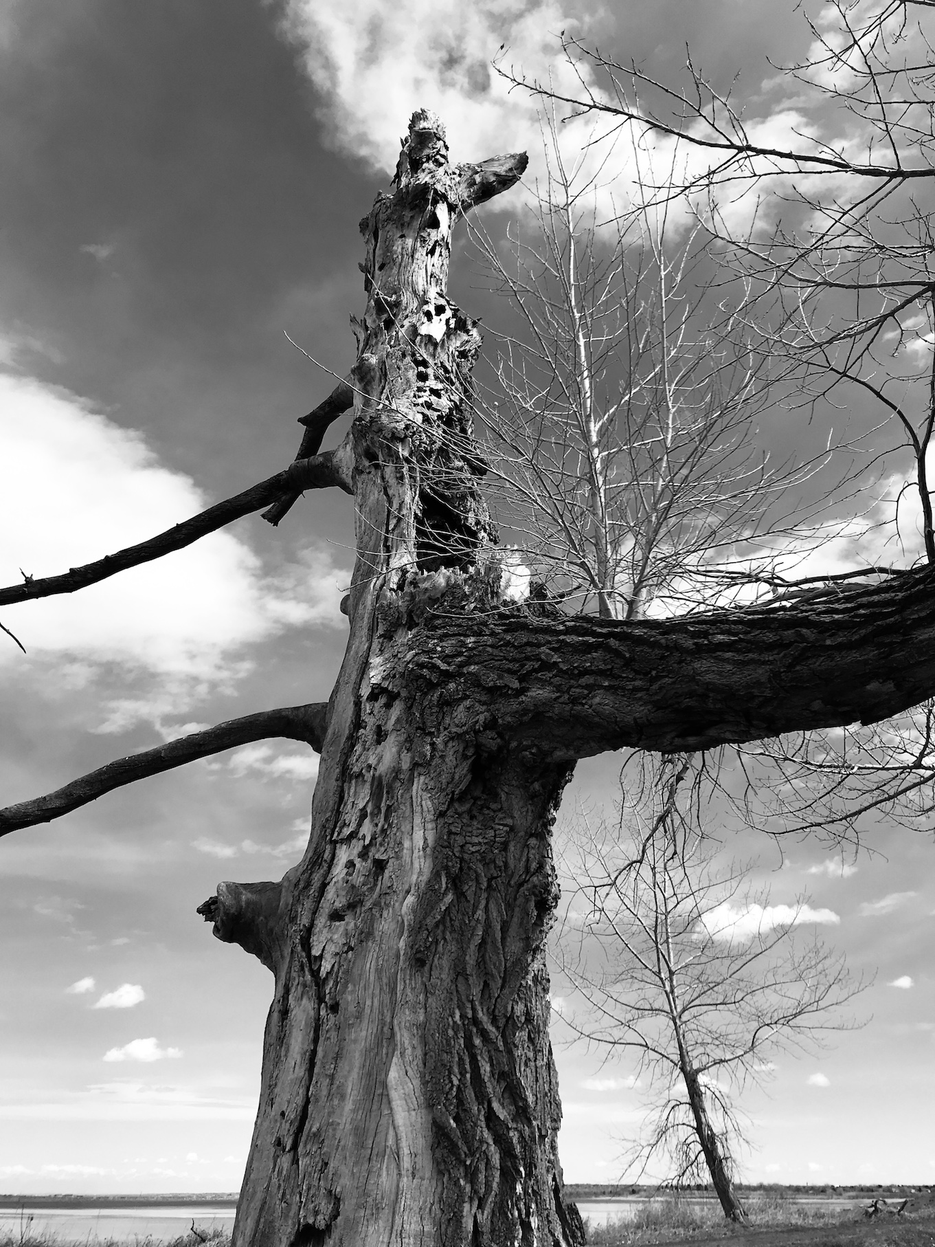 2019-03-24_13-01-28_843