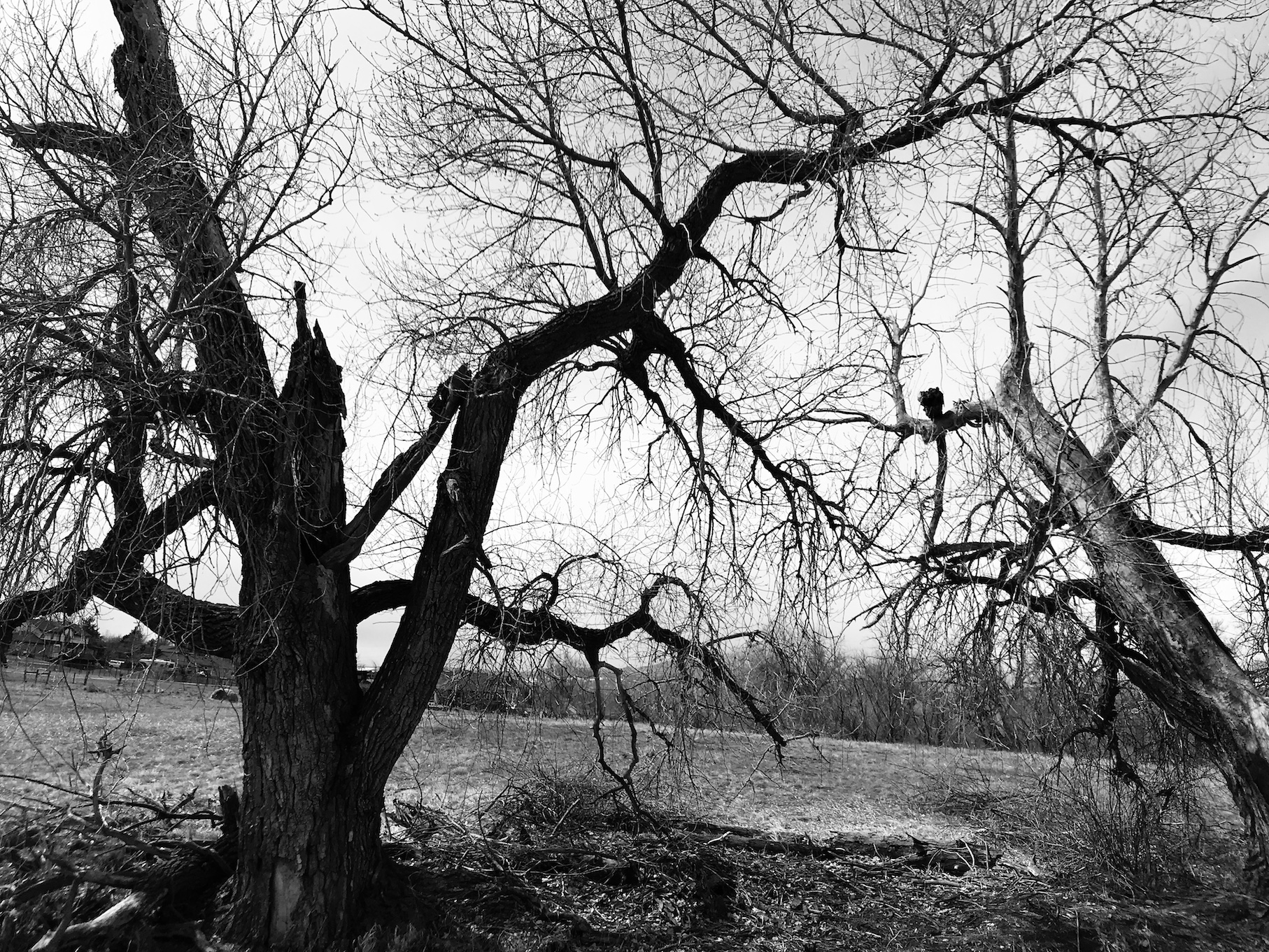 2019-03-24_13-03-55_581