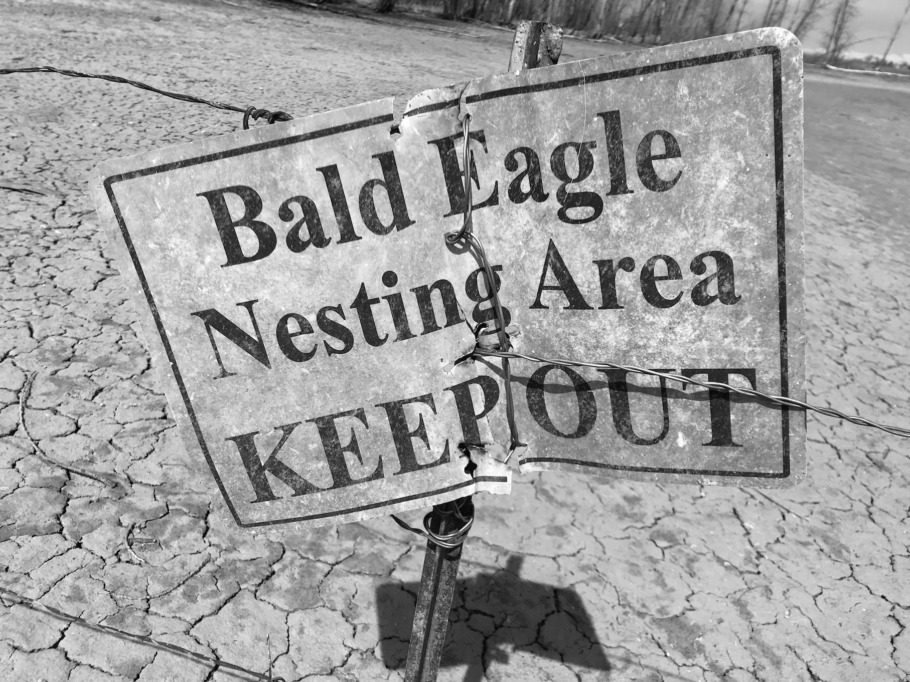 2019-03-24_13-12-10_833 (2019-03-24T21_50_48.497)