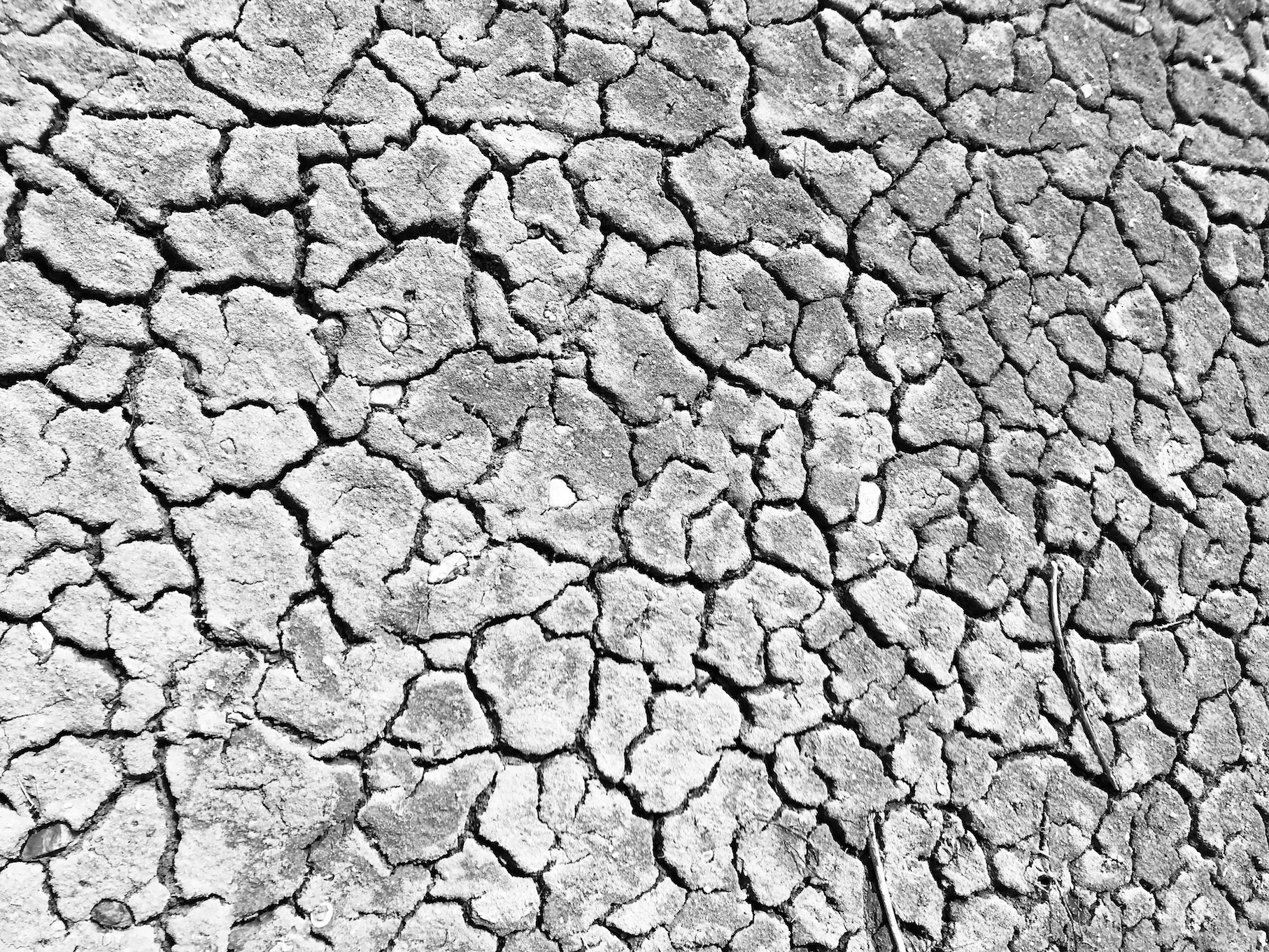 2019-03-24_13-16-36_622