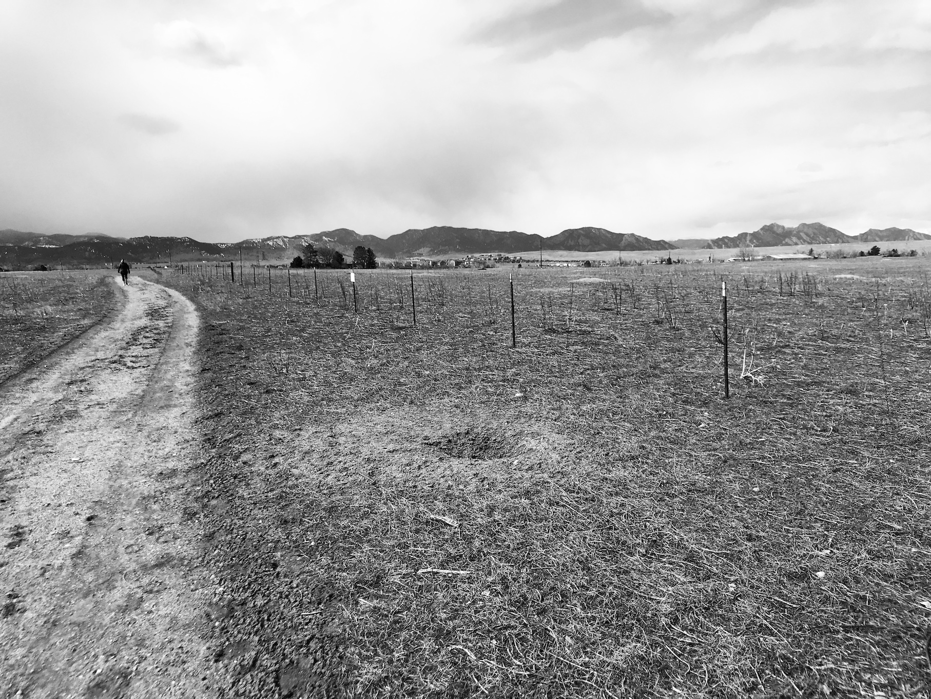 2019-03-24_13-23-16_322