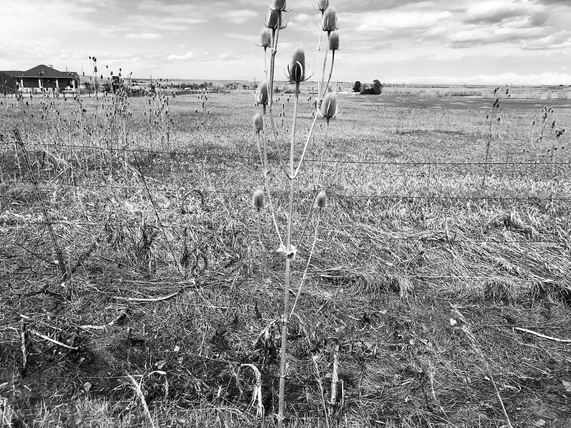 2019-03-24_13-33-19_669