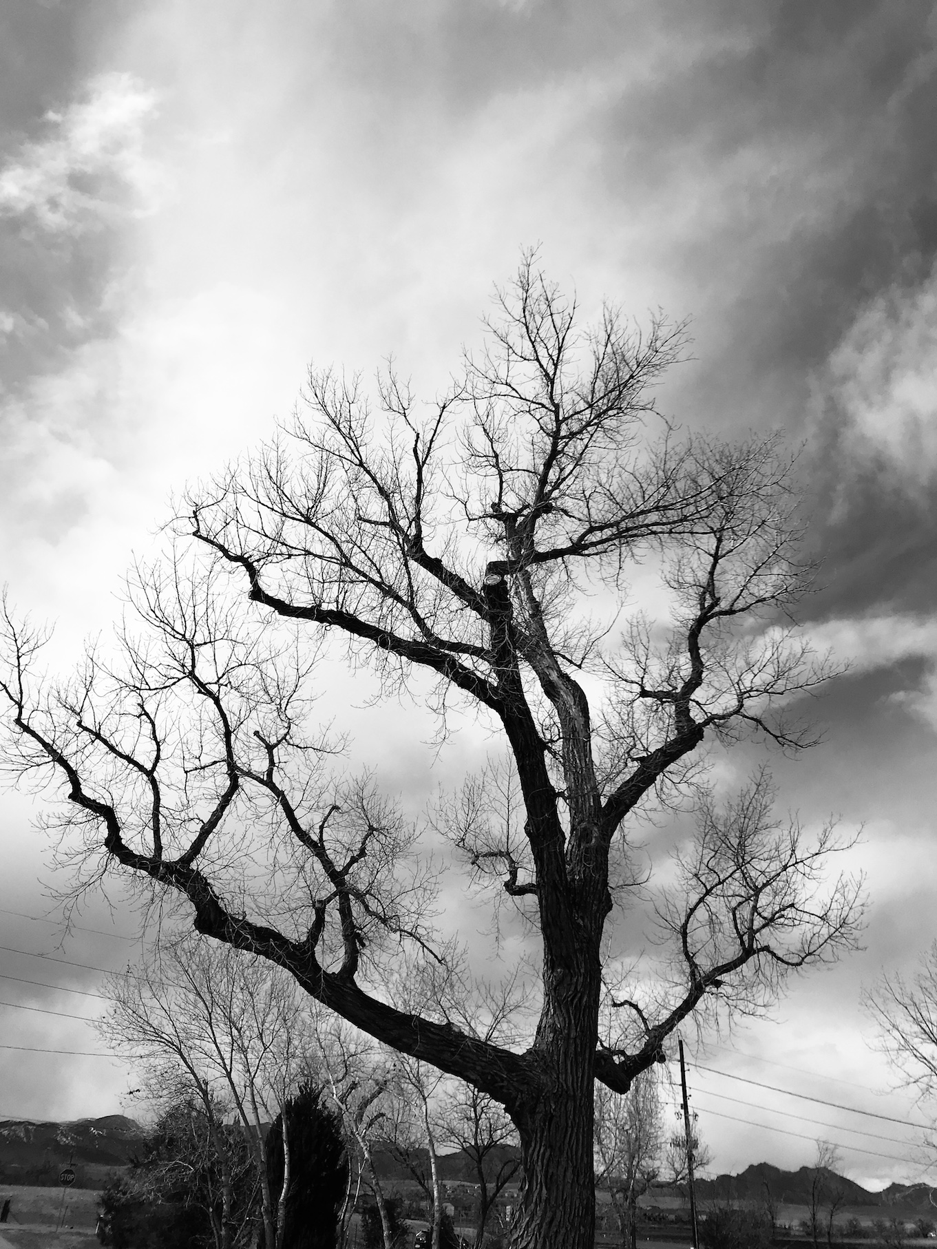 2019-03-24_13-36-23_422