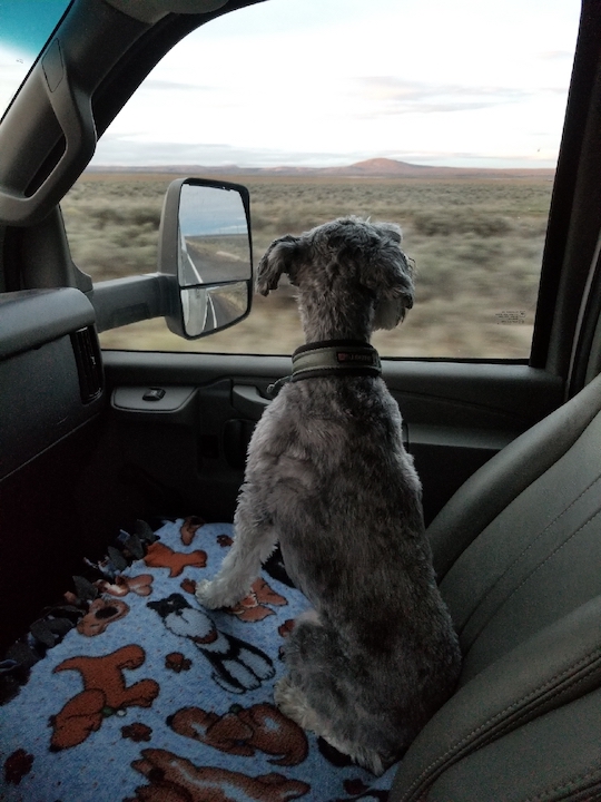 2019-04-17_07-27-00_093