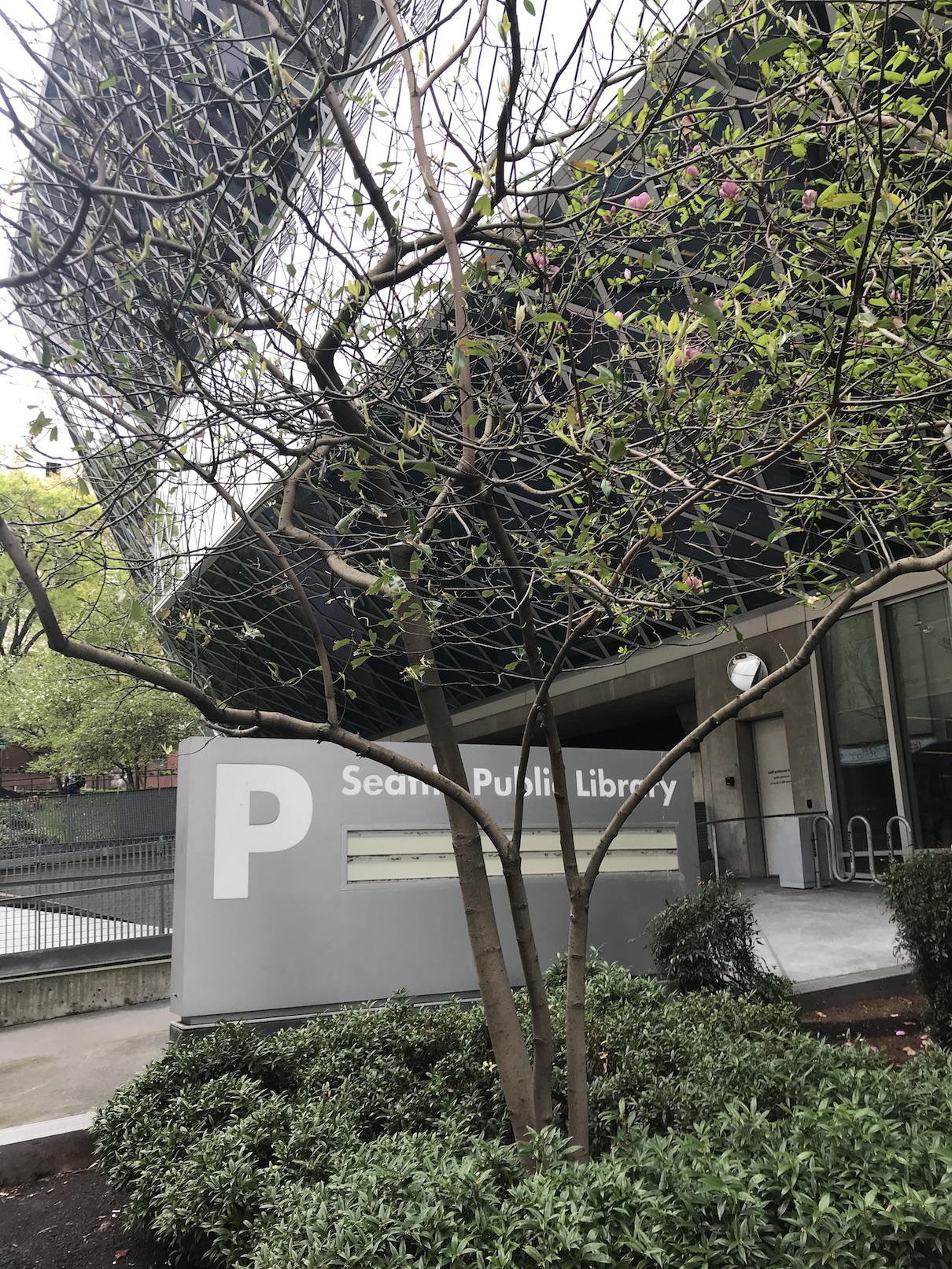 2019-04-18_10-43-37_236