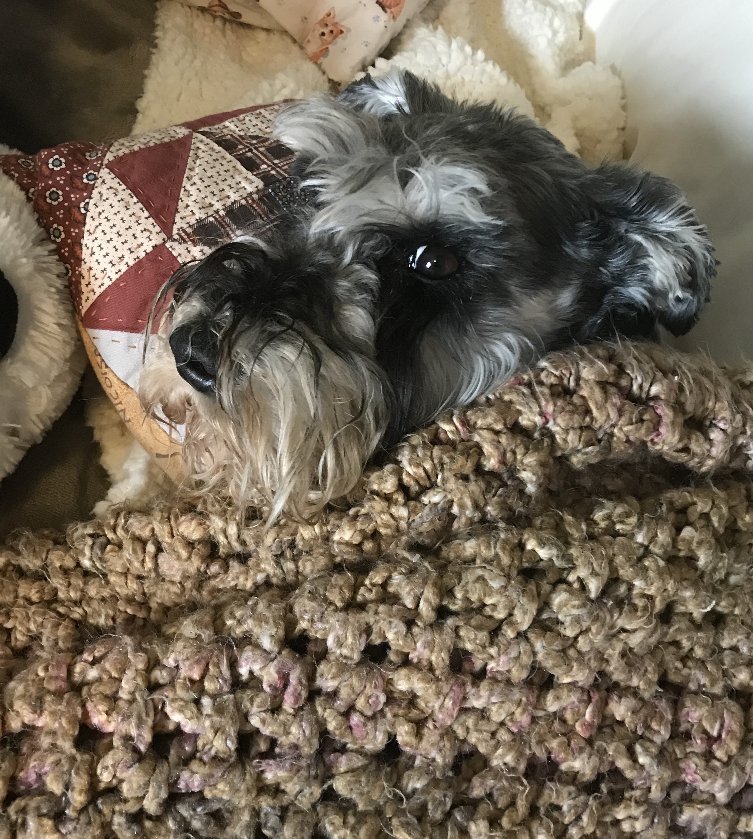 2019-05-07_11-29-26_843