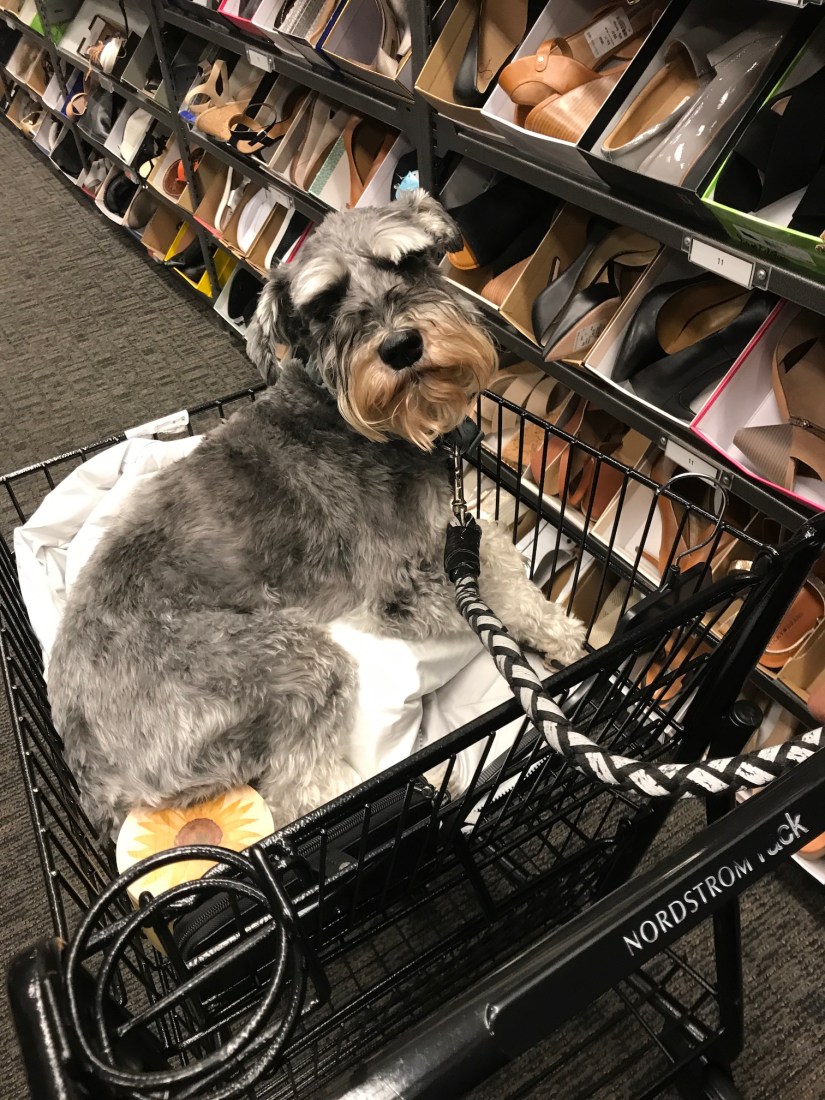 2019-05-01_12-28-01_009