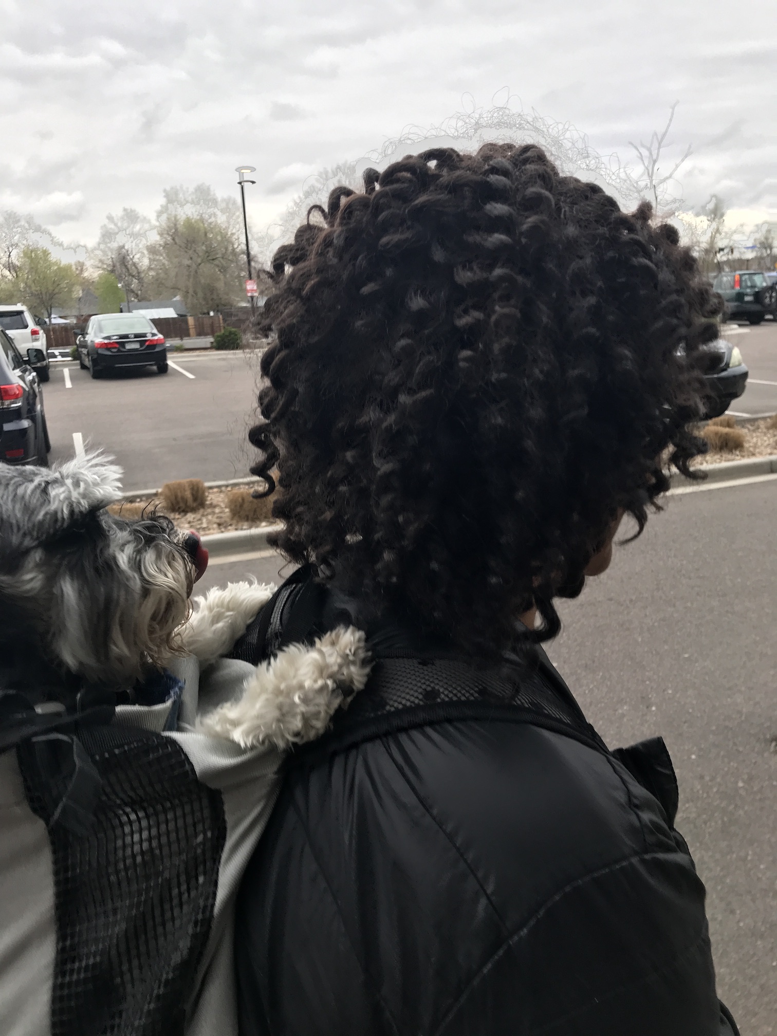 2019-05-01_16-59-03_034