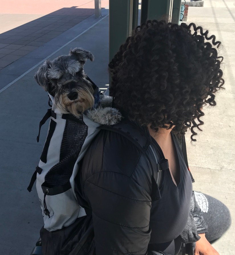 2019-05-02_11-53-15_087