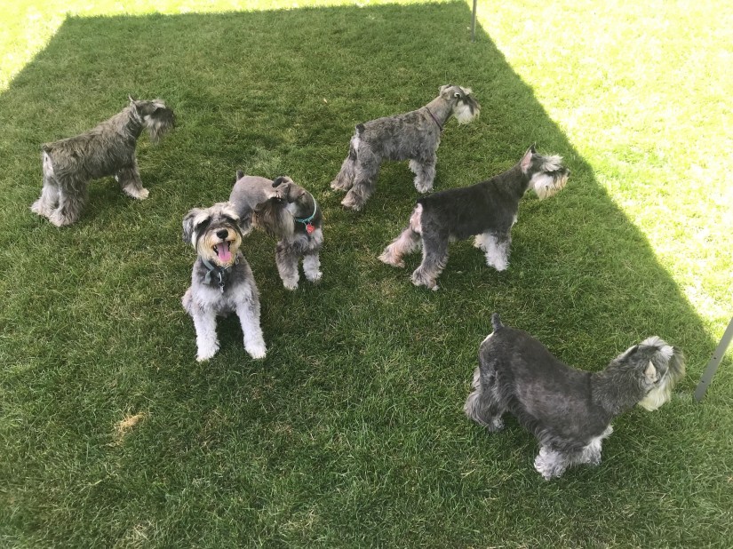 2019-07-13_13-00-46_861