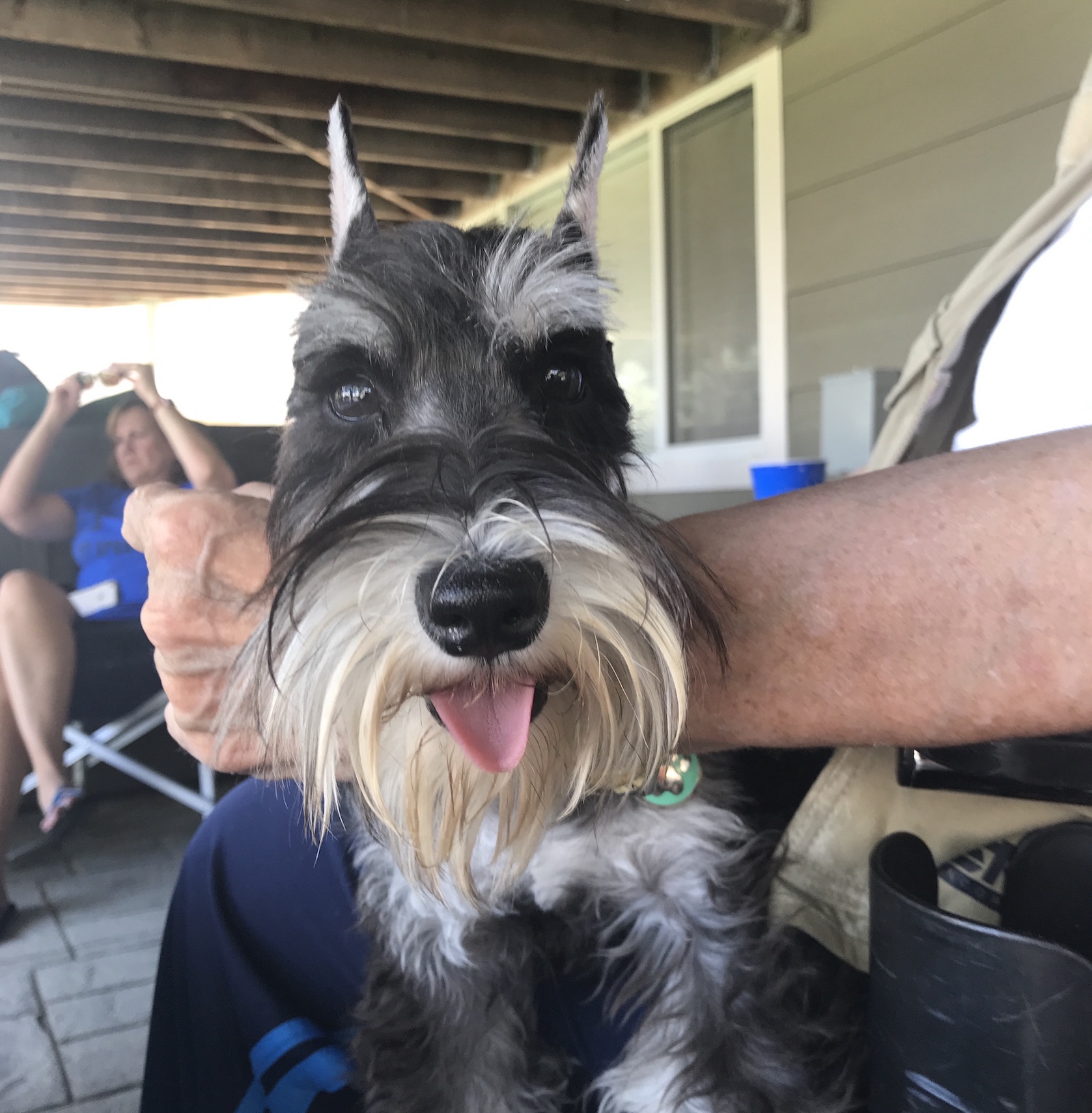 2019-07-13_13-39-01_730