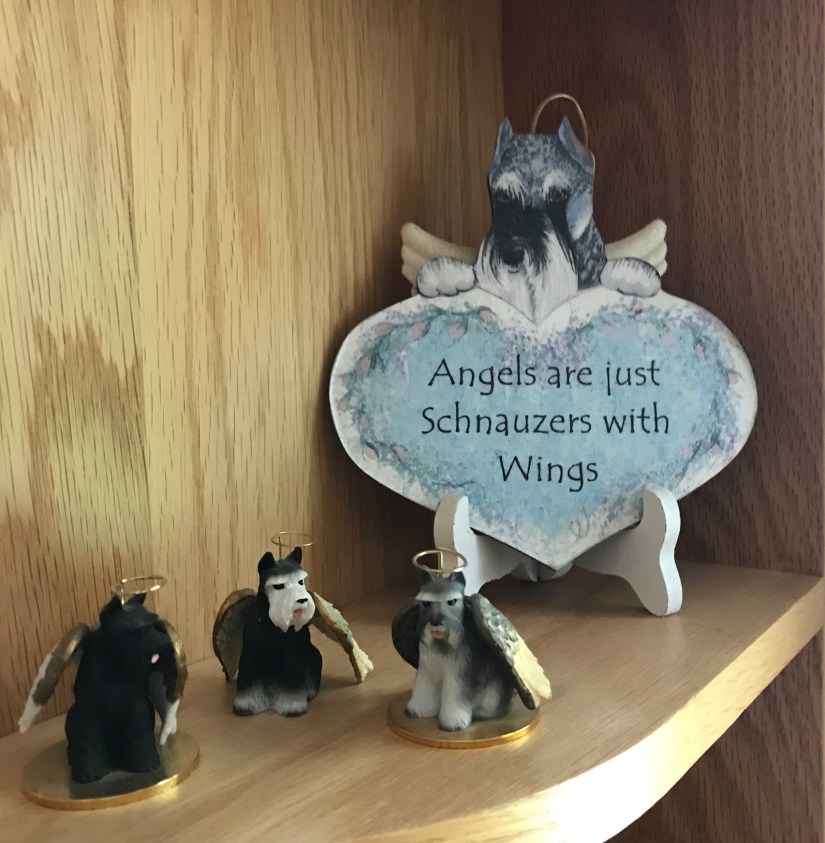 2019-07-17_11-41-33_198