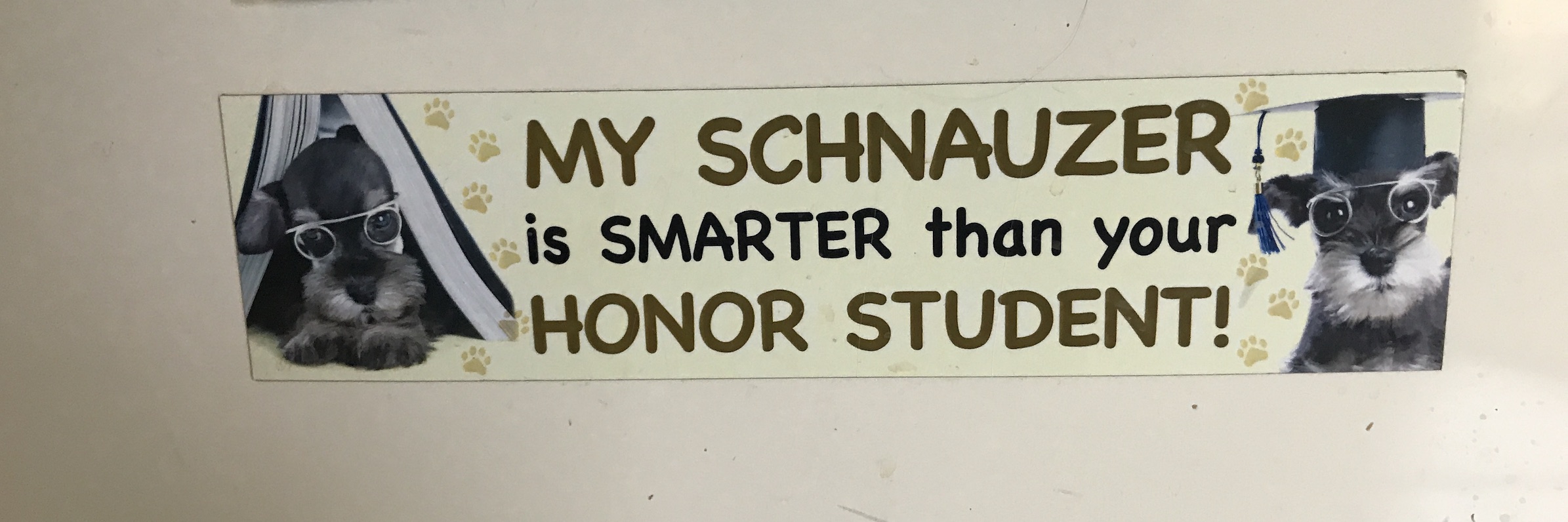 2019-07-17_11-43-19_668