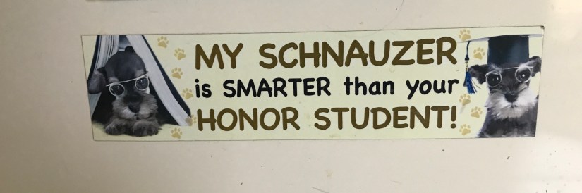 2019-07-17_11-43-19_668