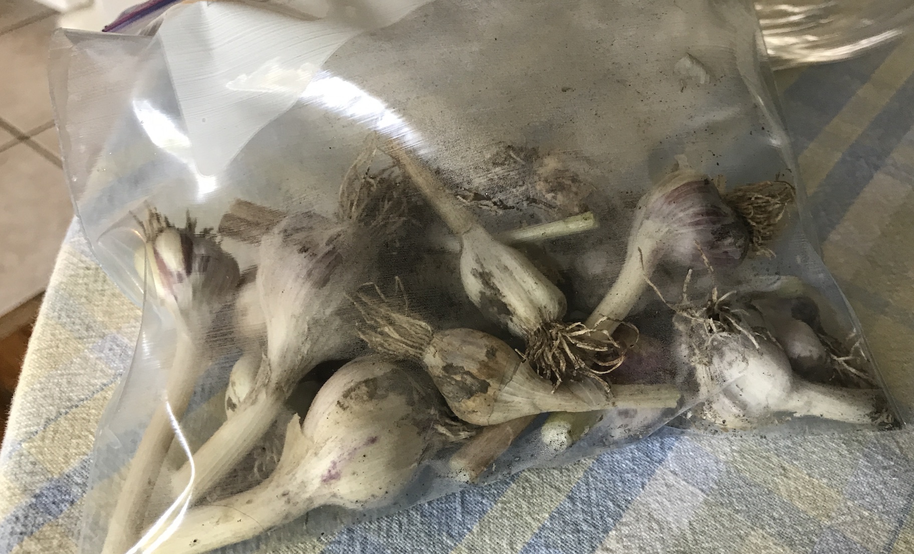 2019-07-17_11-53-58_016