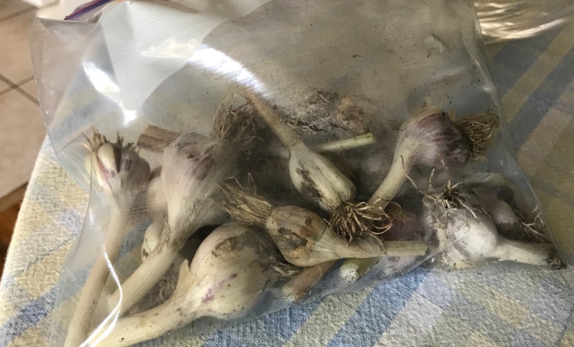 2019-07-17_11-53-58_016