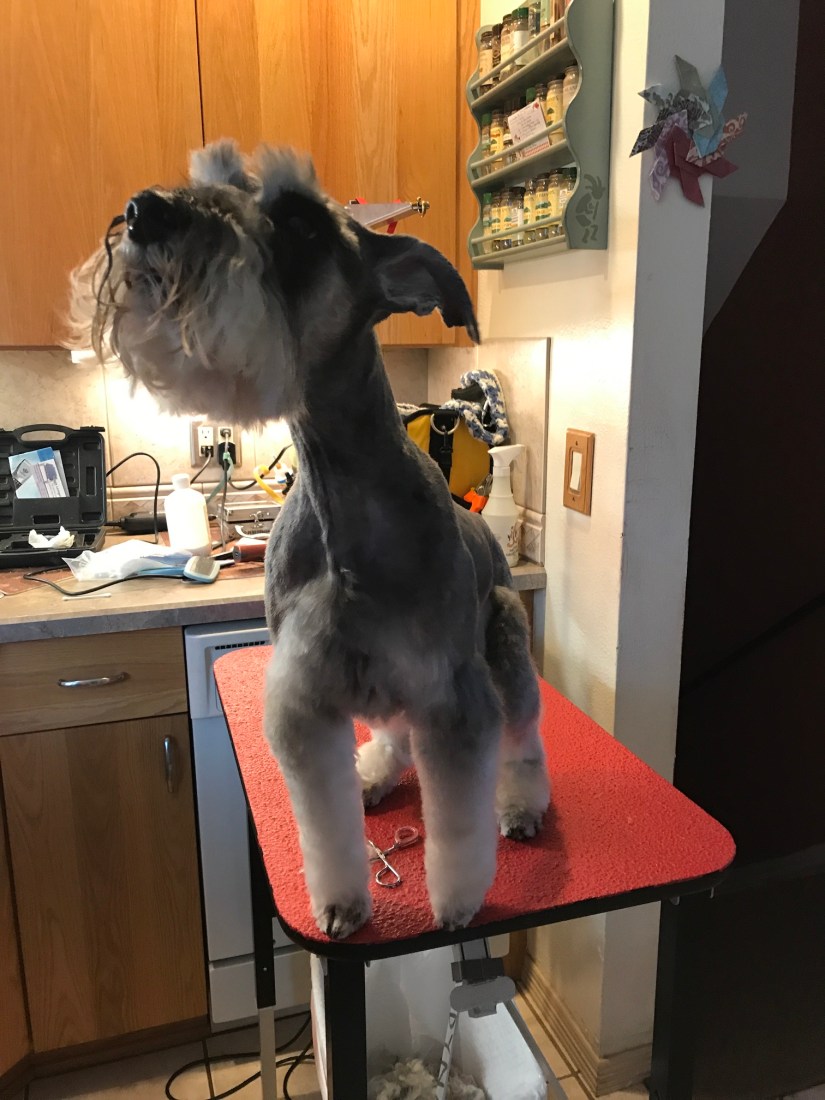 2019-07-17_13-01-27_551