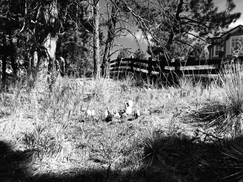 2019-08-09_10-01-07_604