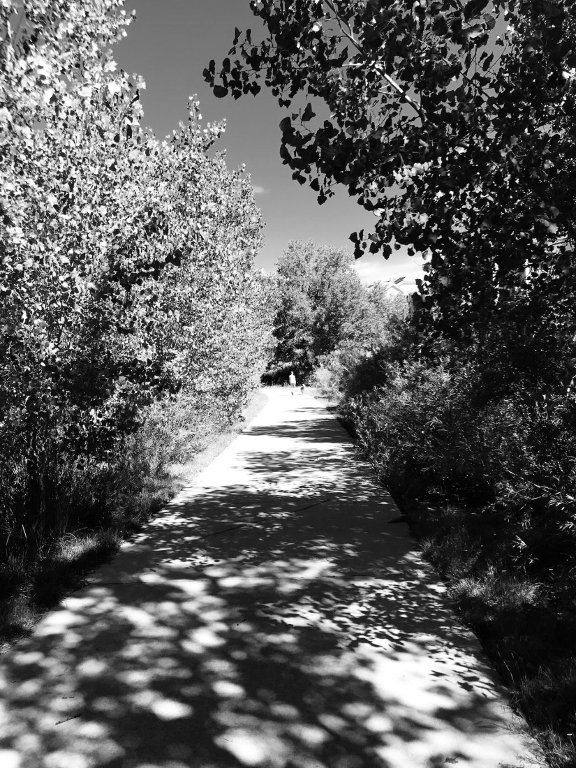 2019-08-09_10-15-46_012