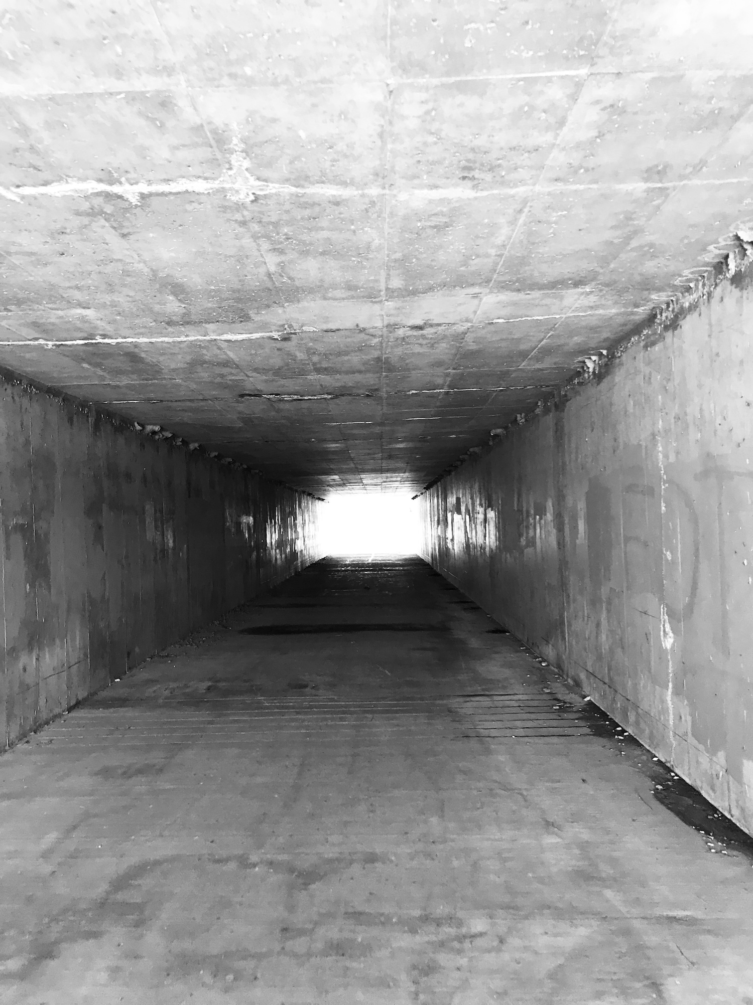 2019-08-09_10-25-10_644