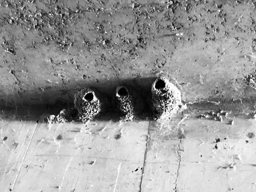 2019-08-09_10-25-34_446