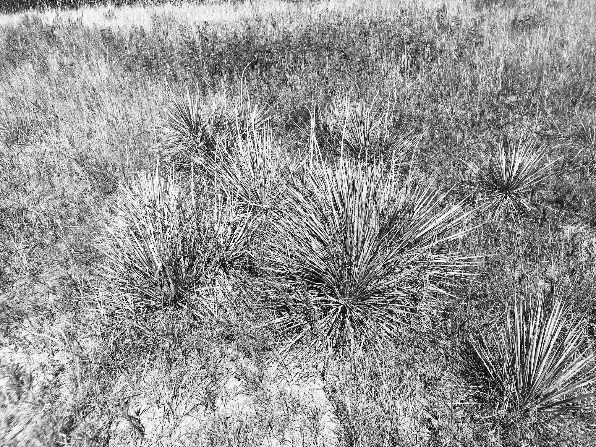 2019-08-12_10-10-03_251