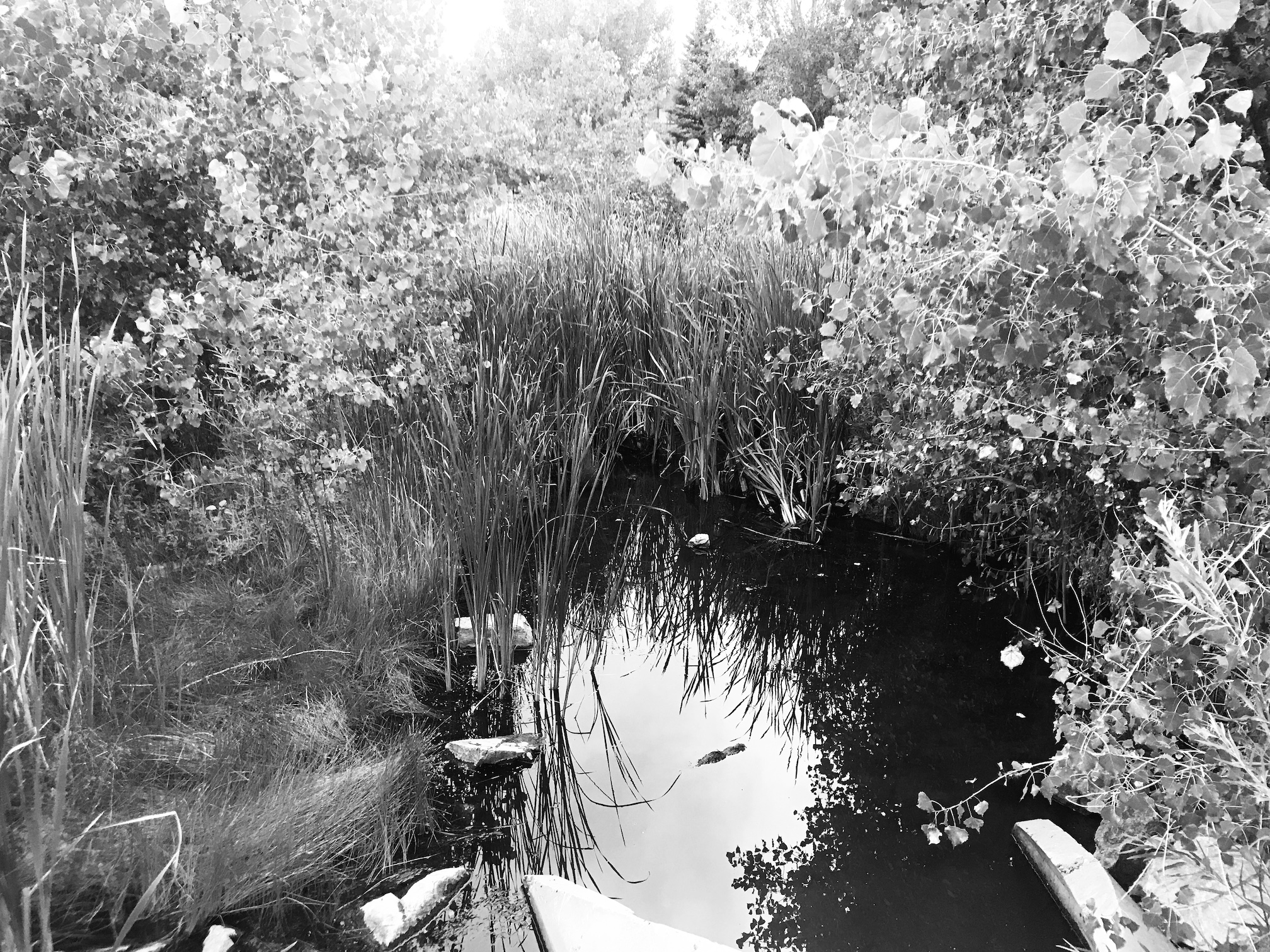 2019-08-17_19-11-38_212