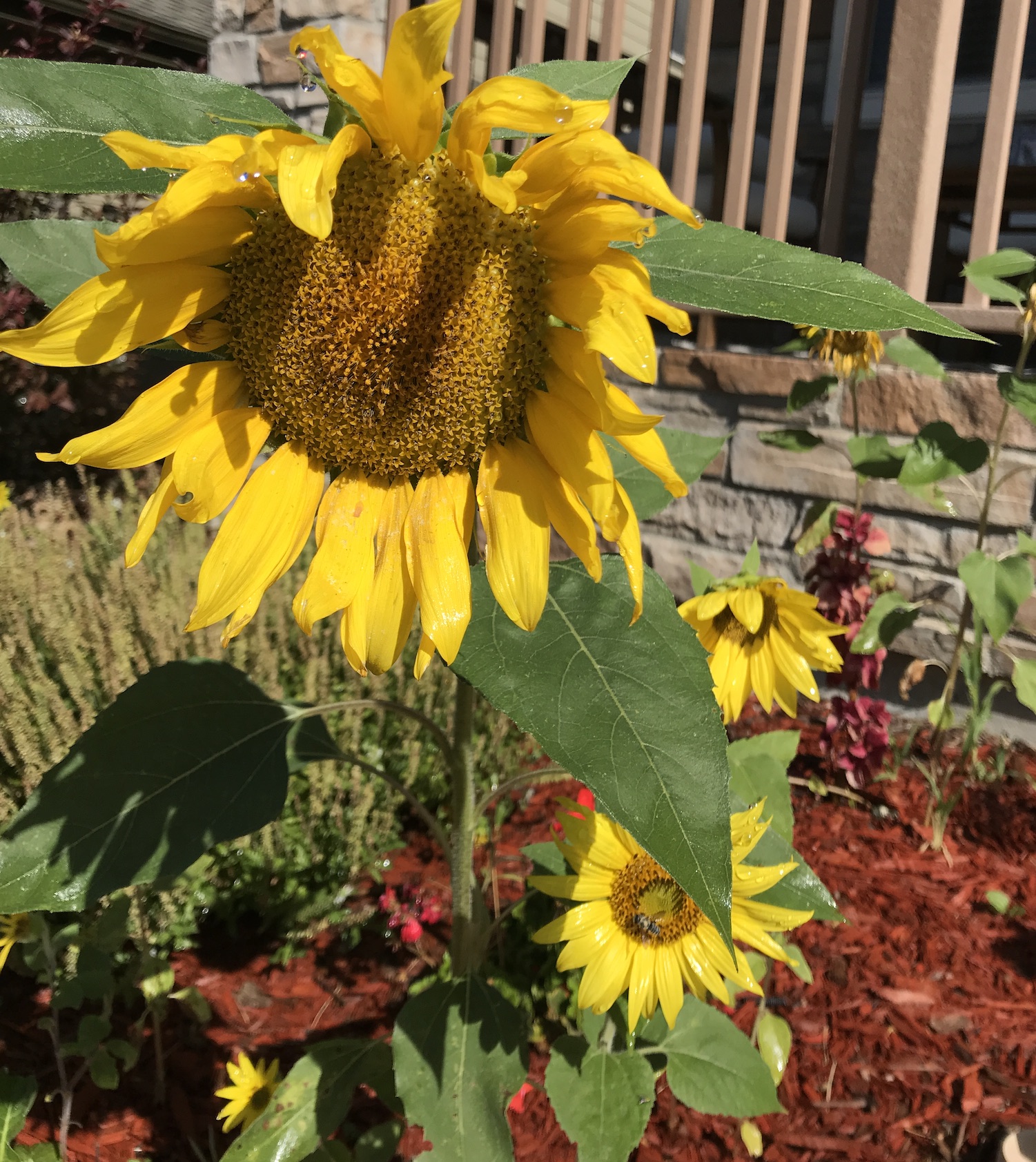 2019-08-30_10-09-02_905