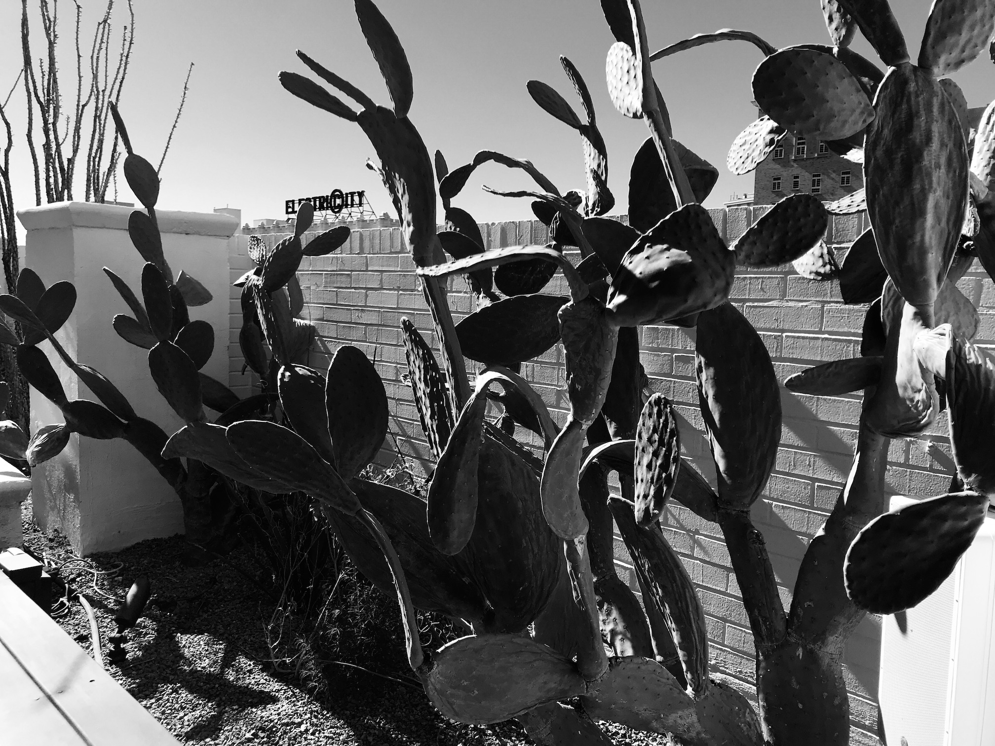 2019-10-19_10-46-56_040