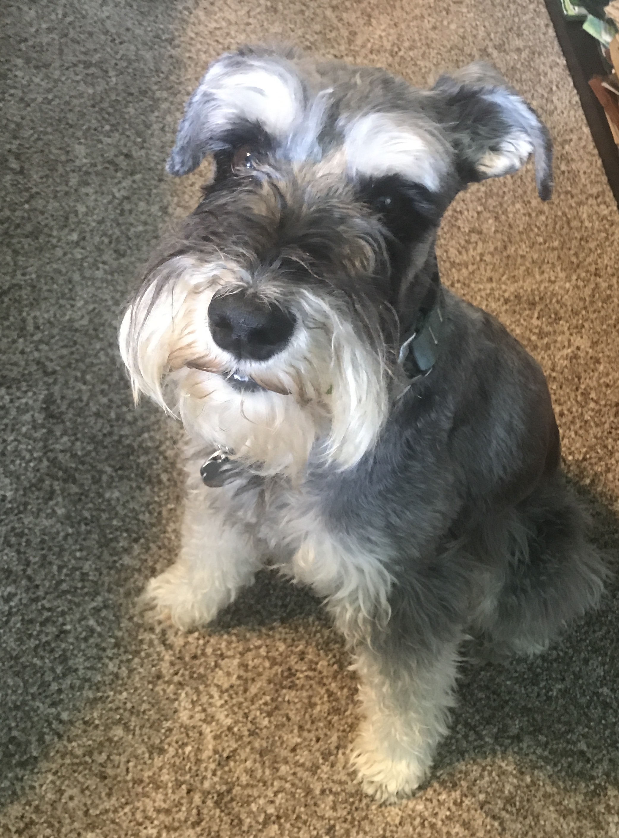 2019-08-15_14-38-15_154