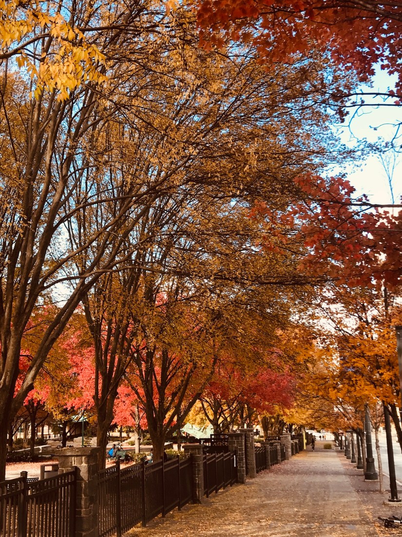 2019-11-21_14-23-10_250