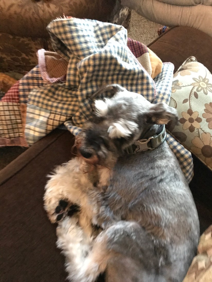 2019-12-06_16-20-15_340