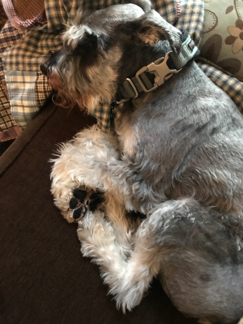 2019-12-06_16-20-27_920