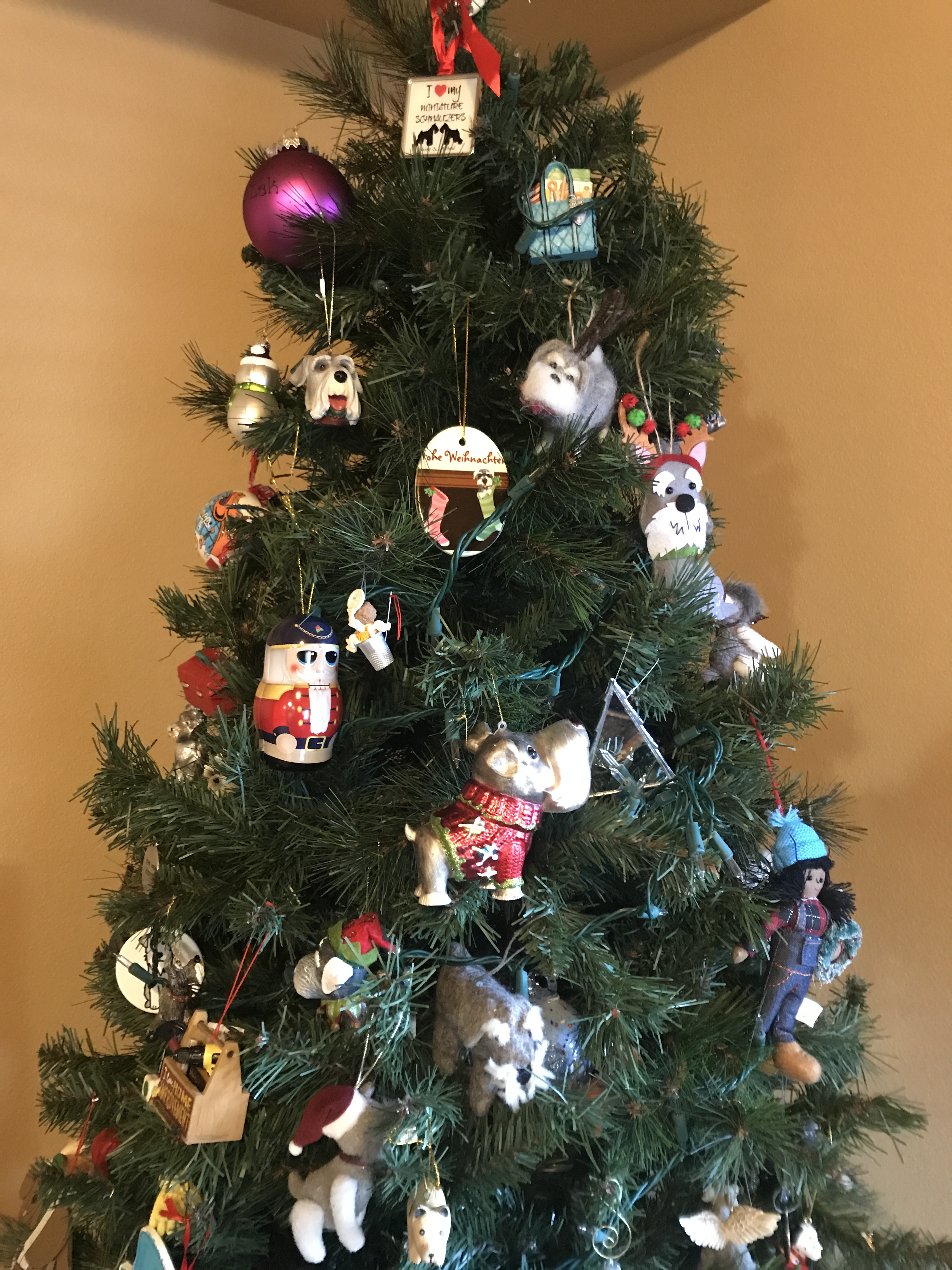 2019-12-14_10-29-23_912